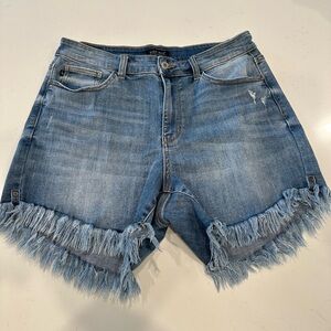 Judy Blue Shorts Size 1XL